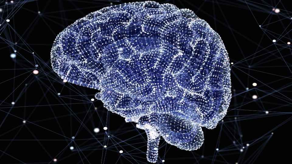 What Makes Alcohol Addictive it comes down to how it creates reward pathways in the brain.